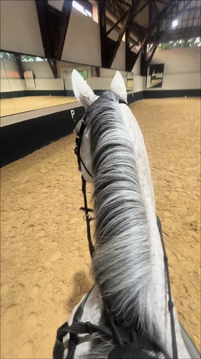 Riding Around in My Little White Pony