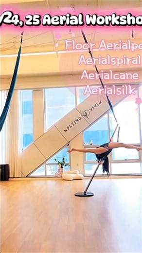 아크로바틱과 플로워 플라잉 폴댄스 합체! Floor Aerialpole dance &,acrobatic move! #서커스 #circuseverydamnday