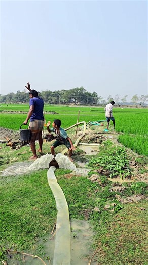 He Rushed to Fix the Water Pipe… But the Prankster Was Hiding Underground 😳😂