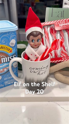 Elf on the Shelf Day 20