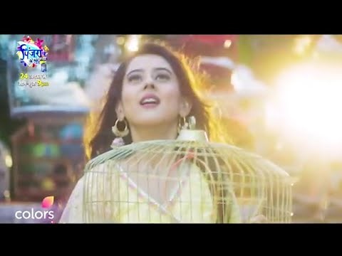 Pinjara Khubsurti Ka | First Episode | Colours