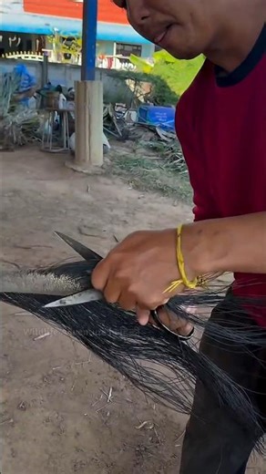 Elephant Tail Hair's