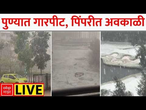 Evening News Update LIVE | Ashok Kharat | Rupali Chakankar | LPG Crisis | ABP Majha