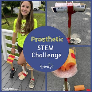 Design a Prosthetic Leg STEM Activity...for Animals!  — Vivify STEM
