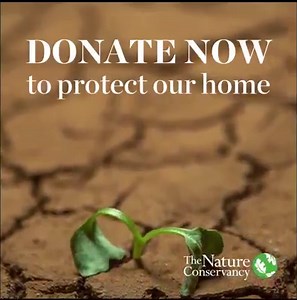 2.5K reactions · 215 shares | We are all part of the fabric of nature. The future of our planet is at stake. Donate today to protect our home. | The Nature Conservancy | Facebook