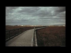 Heavy Footsteps Walking on Wood Sound Effect