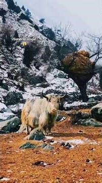 surah Al Ahqaf😱har.chij.ko banya allah😱 hhttps://youtube.com/shorts/NUHqQHUlKi8?si=HqLXKSQ3Oq3BctJv