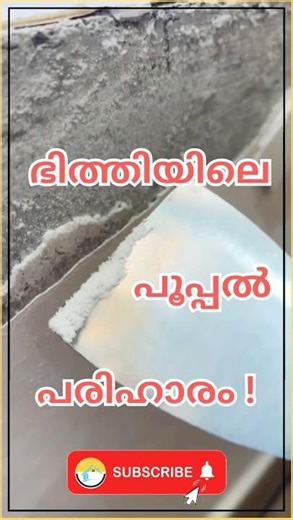 bhithiyil eerppam pariharam | wall dampness treatment #shorts #shortfeed #walldampness #trending