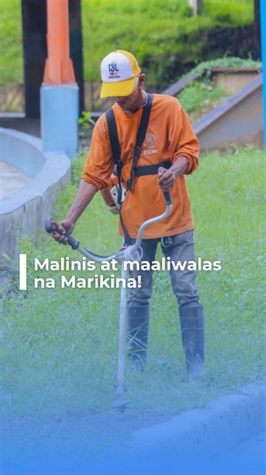 Isinasagawa ang Tree trimming Operation sa iba’t ibang bahagi ng ating lungsod. Layunin nitong tiyakin ang kaligtasan ng ating pamilya, mapanatiling maaliwalas ang kapaligiran at bahagi na rin ng agarang pagtugon sa mga request na natatanggap sa Marikina E-Concern. https://econcern.marikina.gov.ph/ #AlagangMarikinaCity | Marikina PIO