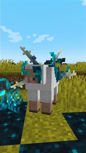 warden bakal full senyum ini