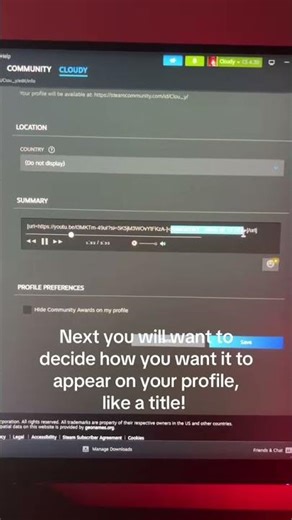 How to create a cool steam bio˚₊‧⁺⋆♱