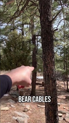 Epic ❄️ Snow Hike on Tooth Ridge at Philmont Scout Ranch! ⛰️