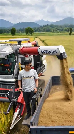 Wow, this rice harvesting machine is very efficient and makes harvesting rice easier. #short #USA