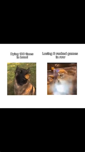 Brawl is Best #VonkML #MLBB #MobileLegendsBangBang #MobileLegends #ctto | Vonk ML