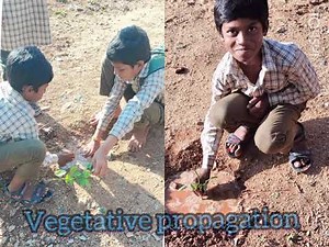 Science Class Activities (2025-2026)