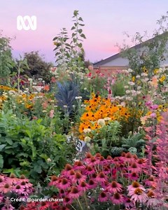11K views · 812 reactions |  Want some inspiration for your garden this week?  Catch up with all episodes of Gardening Australia on iview: https://ab.co/GardeningAustraliaiview.  ️ by IG/ @garden.charm. #ABCMyGarden #CottageGarden #PrairieMeadow | Gardening Australia | Facebook