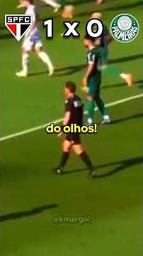 Eu tô cego dos olhos!😎🫣 #saopaulo #palmeiras #futebol #engraçado
