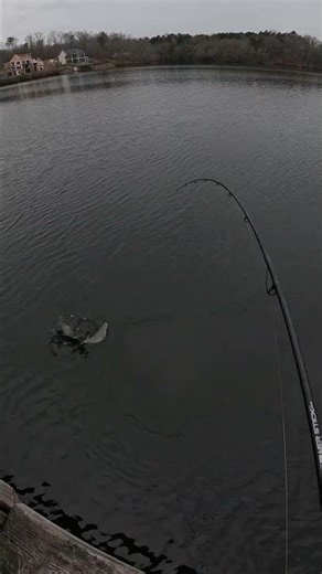 Hooked Up at The Dock...Afternoon Catfishing!