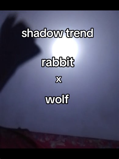 Exploring the Shadow Trend: Rabbit x Wolf Theme