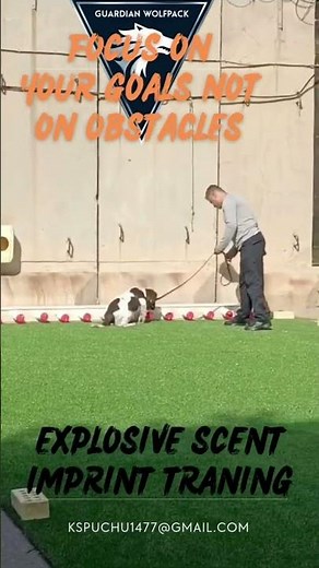 K9/Explosive Scent Imprint Training