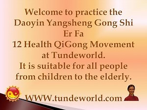 Qigong - Dao Yin Yang Sheng Gong Shi Er Fa - The 12-Movement Exercise at Tundeworld