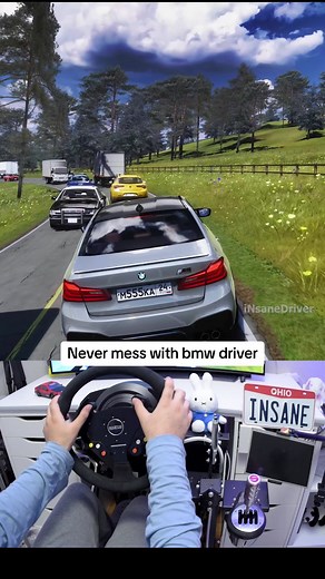Insane Driver: BMW Traffic Chase Game with Steering Wheel