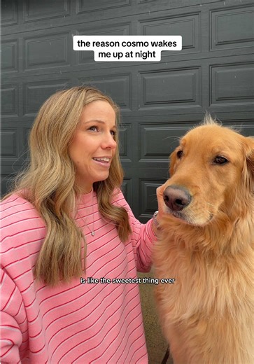 The Heartwarming Truth About Cosmo Waking Me Up at Night