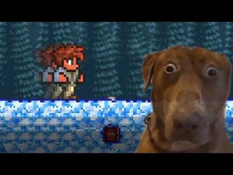 Man attempts to beat ALL of Terraria EXPERT without dying ONCE.