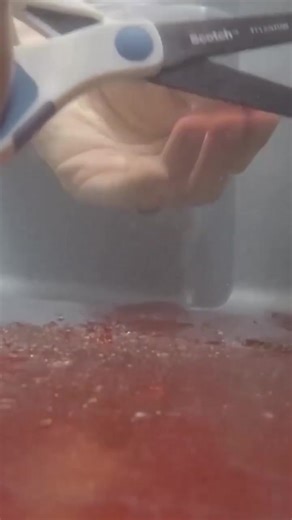 Cutting glass underwater ✂️ #physics #experiment #glass #chemistry #fblifestyle #reels | The Action Lab