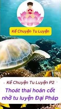 Kể Chuyện Tu Luyện P2 #phapluancong #tutam #tuluyen