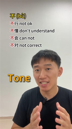 Chinese with David | The Rule of Tone Change in 不 In Mandarin, the character 不 usually has the fourth tone (bù). But when 不 comes before another fourth tone,... | Instagram