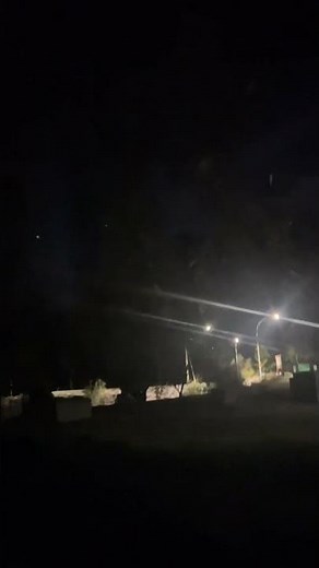 Massive Coyote Pack Howling, How coyote sounds, intense #coyote #wildlifesounds #howlingcoyote