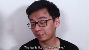 106K views · 4.4K reactions | Weirdest Instruments We've Ever Seen.... | Twoset Violin | Facebook