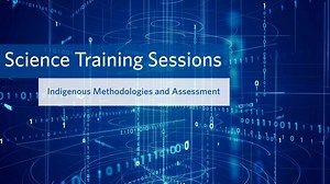 Indigenous Methodologies and Assessment