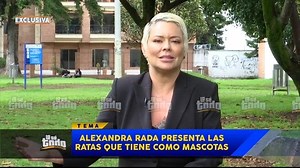 117K views · 1.1K reactions | Alexandra Rada nos presentó a Cuki Alfonso y Stuart Little, las ratas que tiene como mascotas. #LoSéTodo | Lo Sé Todo Colombia | Facebook