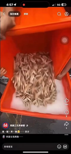 （#11月19日週三全面休息喔） 想想以前每日在夜市擺攤，光架設好就要1小時了 而且是5-7個人在擺！ 說是說擺夜市，但其實我們大概午後1:00-1:30 就會在現場架設，但這兩年夏天真的太熱！ 已經好幾次都是中暑🥵 大太陽下加上烤火爐， 實在是受不了🤣 （弱弱的勞ㄅㄢˇ） #11月17日營業據點 自由市場 3:00 仁武2 1兄弟 4:00-6:30 鳳山青年夜市 4:30-完 瑞豐夜市 休 | 炎三兄弟螃蟹