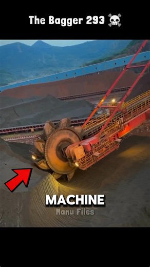 Meet the Bagger 293