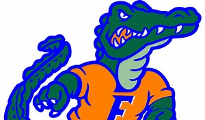 Go To Plays - Florida Gators