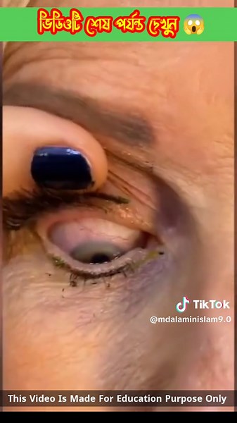 Innovative Kitchen Gadgets and Smart Appliances