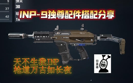 INP-9机动配件搭配分享，天不生我inp，枪道万古如长夜|【代号：血战】