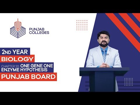 PGC Lectures-Inter Part II-Punjab Board-Biology-Chapter 20 - One Gene One Enzyme Hypothesis