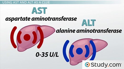 You must c C reate an account to continue watching