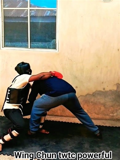 wing chun powerful deflecting techniques #wingchun #mma #martialarts #fighter #kungfu #foryou