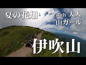 【伊吹山】夏の花畑！with 大人山ガール♪「アラカンぼっちの山歩き♪」百名山