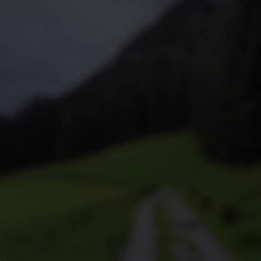 Exploring a Classic from Southern Brazil