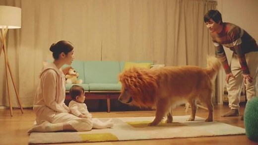 Amazon Prime TV Spot, 'Lion'