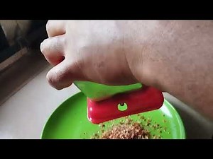 Some Steps In Preparation Of Simple Spaghetti 🍝