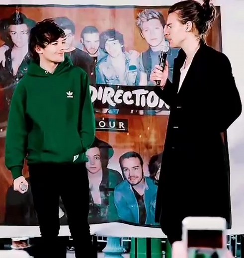 Larry Stylinson Orlando - A Fan's Perspective