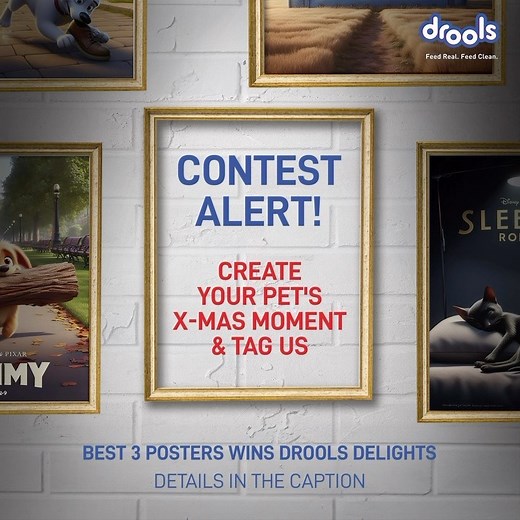 Christmas Contest Alert! 🎬🎄 Here’s what you need to do to WIN: 🐾 Use any AI software⁣ or editing tool or hand draw to create your pet’s christmas poster - go crazy on creativity! 🐶🎨 🐾 Share your pet’s image and the poster you had created and tag @droolsindia with #drools #droolschristmas on your stories 🖼️ 🐾 Comment ‘Done’ and Tag your friends too! 🫶 The top 3 most creative posters get to take home some drool worthy delights! 🎁 ✨Contest Open until December 31st, Winners will be announc