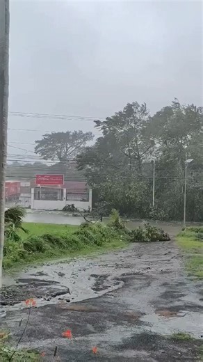 63K views · 212 reactions | SUPER TYPHOON UWAN HITS CAMALIG, ALBAY Strong winds and heavy rains are being experienced in Camalig, Albay, due to Super Typhoon #UwanPH. Camalig Mayor Caloy Baldo shared on social media the situation in the municipality as of 10:45 AM, urging residents to remain vigilant. Several areas in Albay, including Camalig, are under Signal No. 3, according to PAGASA. (Facebook/Caloy G. Baldo) | Philippine Star | Facebook